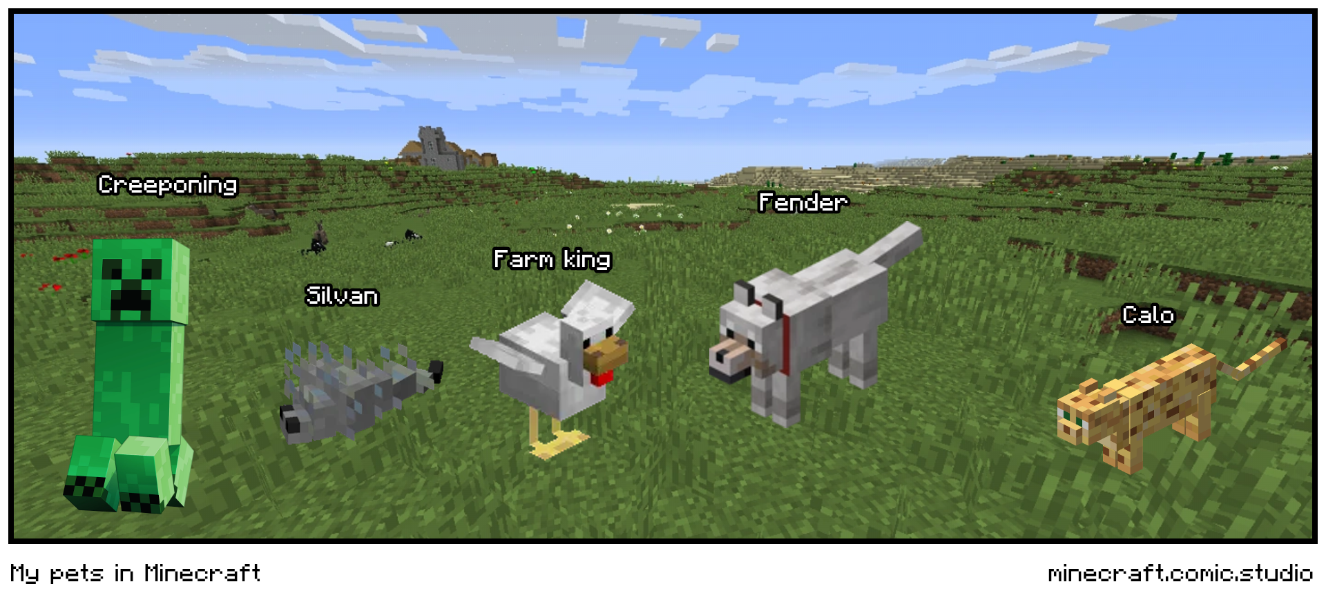 My pets in Minecraft