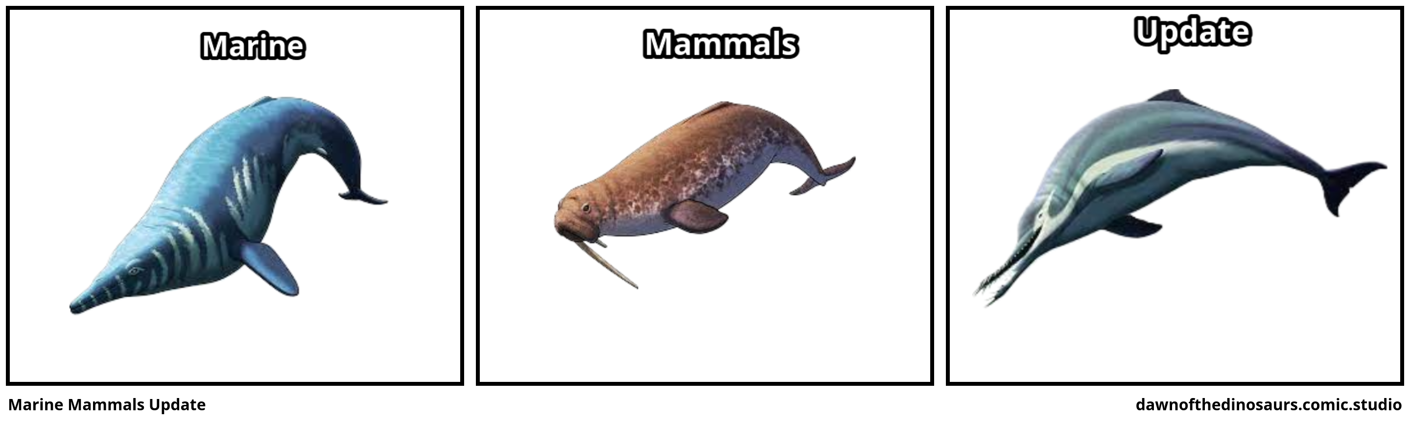 Marine Mammals Update