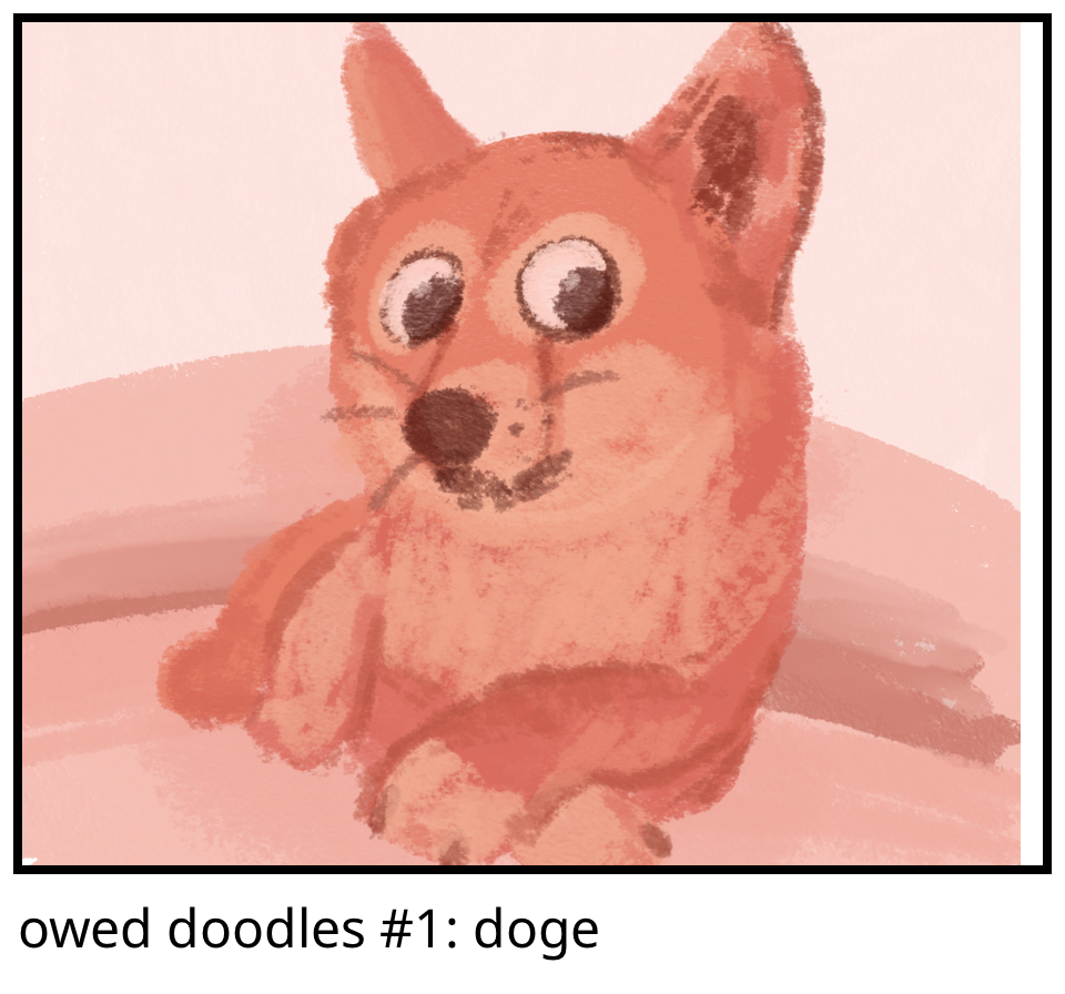 owed doodles #1: doge