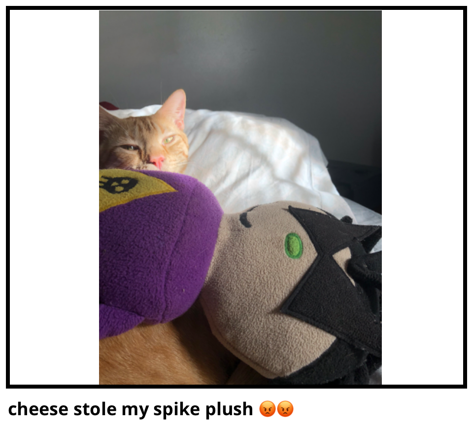 cheese stole my spike plush 😡😡