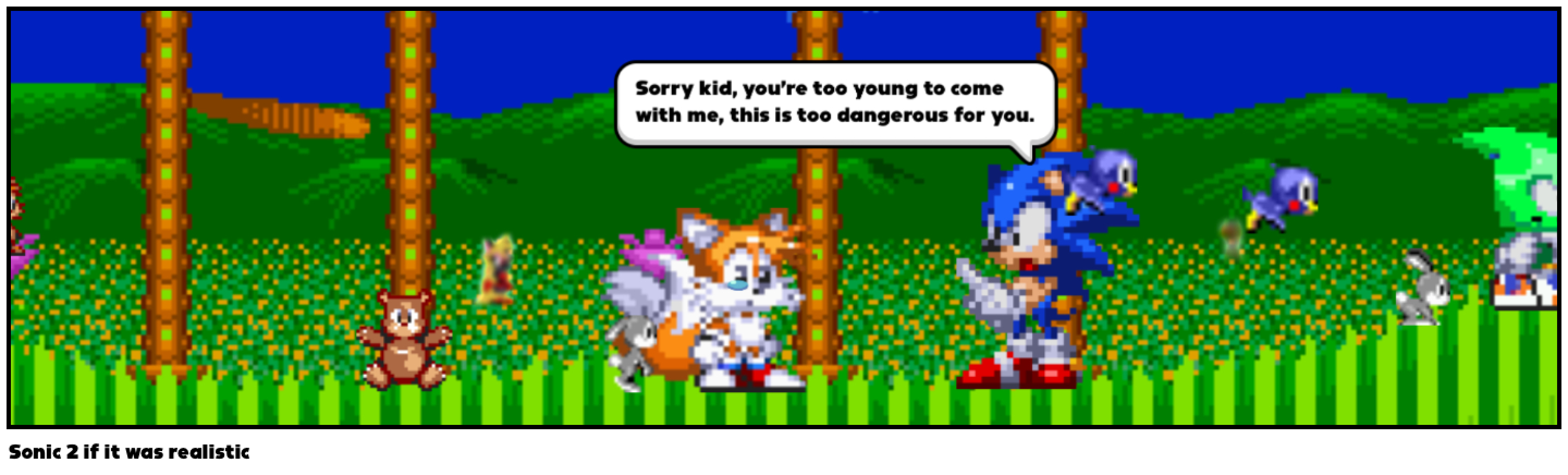 Sonic 2 if it was realistic 