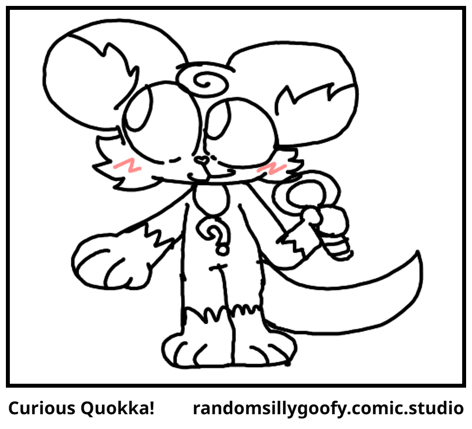 Curious Quokka!