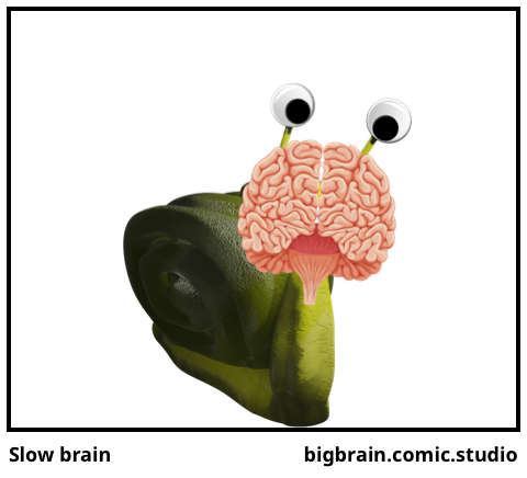 Slow brain