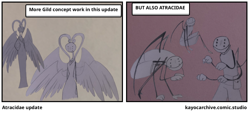 Atracidae update 