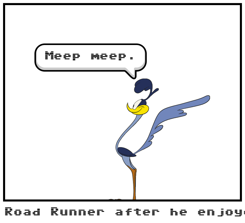 Road Runner after he enjoyed the party