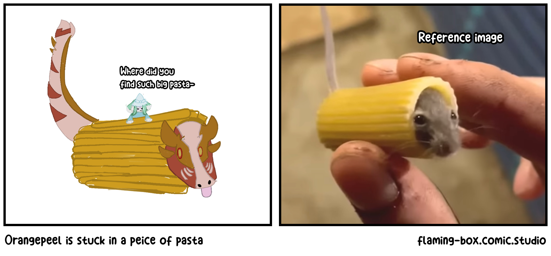 Orangepeel is stuck in a peice of pasta