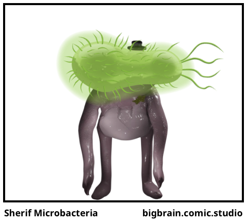 Sherif Microbacteria 