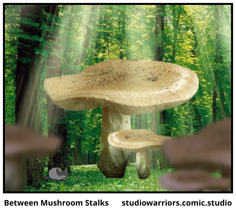 Between Mushroom Stalks