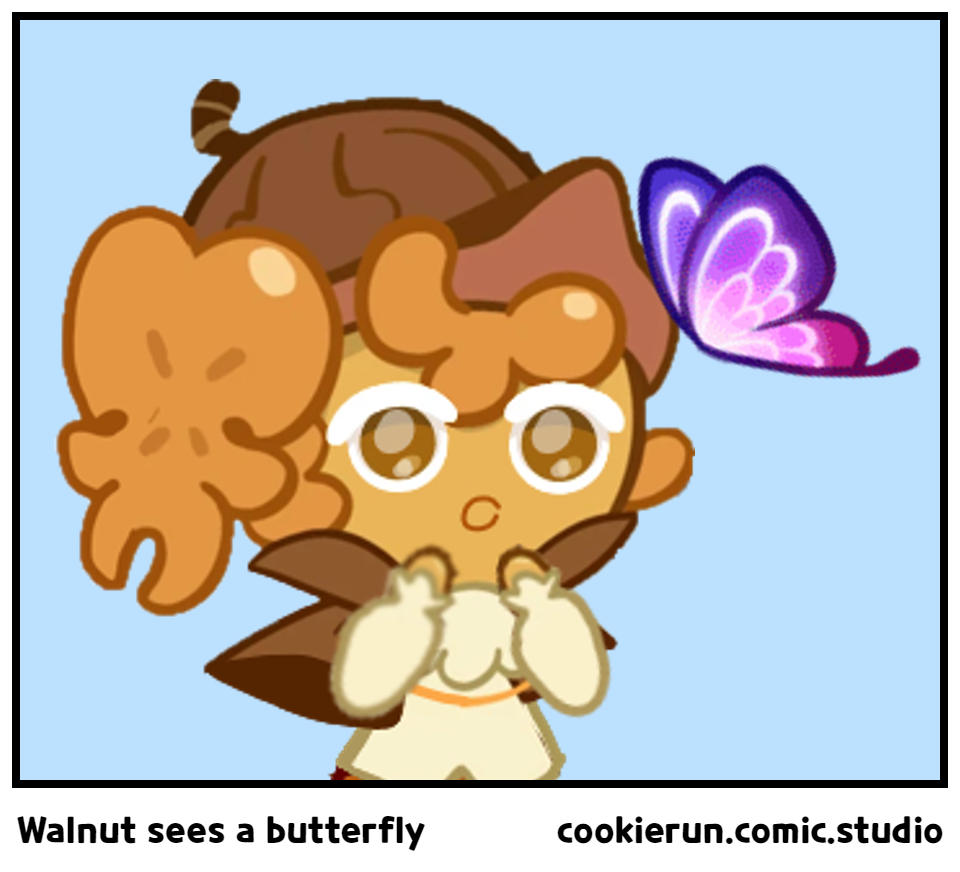Walnut sees a butterfly