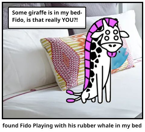 found Fido Playing with his rubber whale in my bed