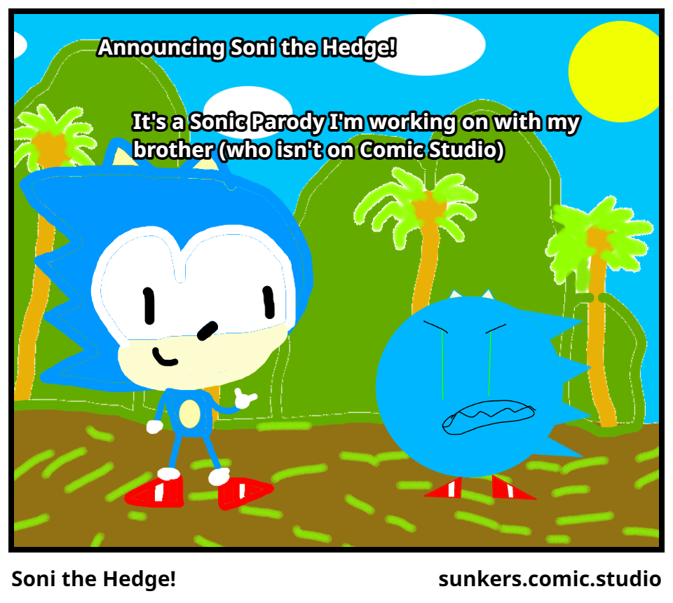 Soni the Hedge!