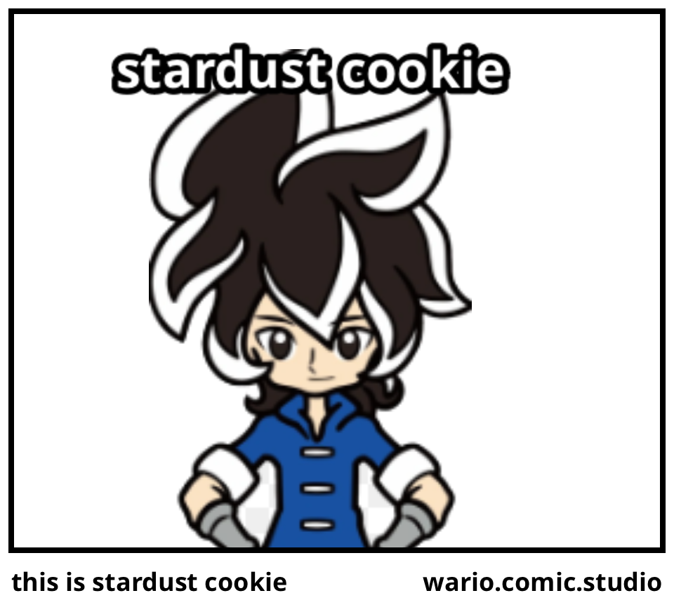 this is stardust cookie