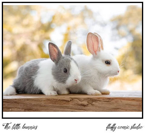 The little bunnies :3