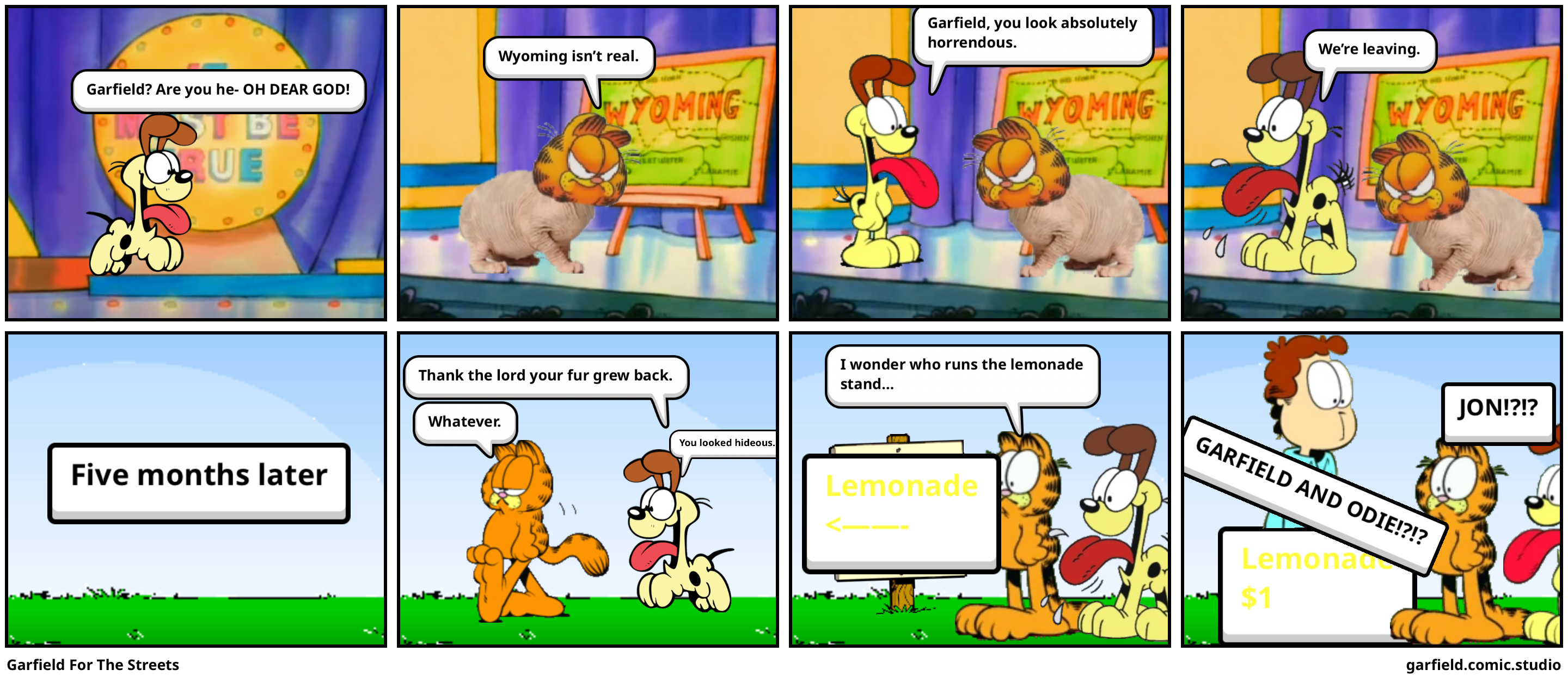 Garfield For The Streets