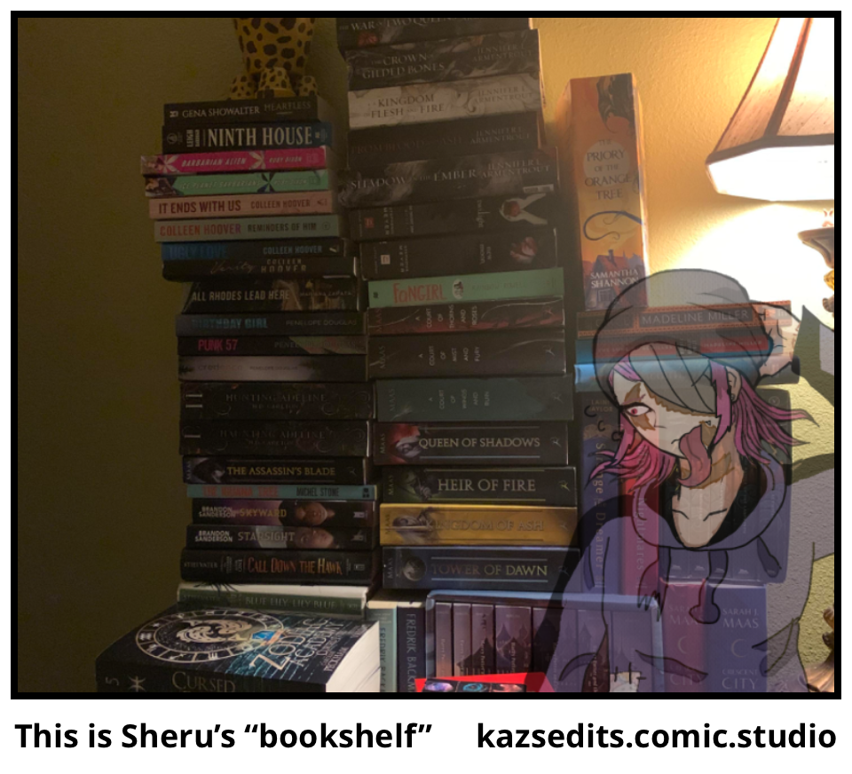This is Sheru’s “bookshelf”  