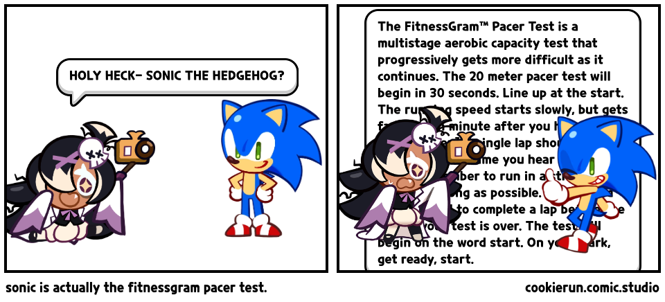 sonic is actually the fitnessgram pacer test.