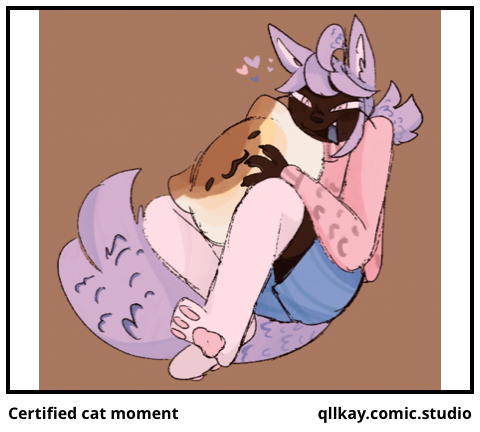 Certified cat moment