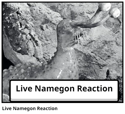 Live Namegon Reaction
