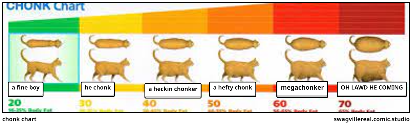 chonk chart 