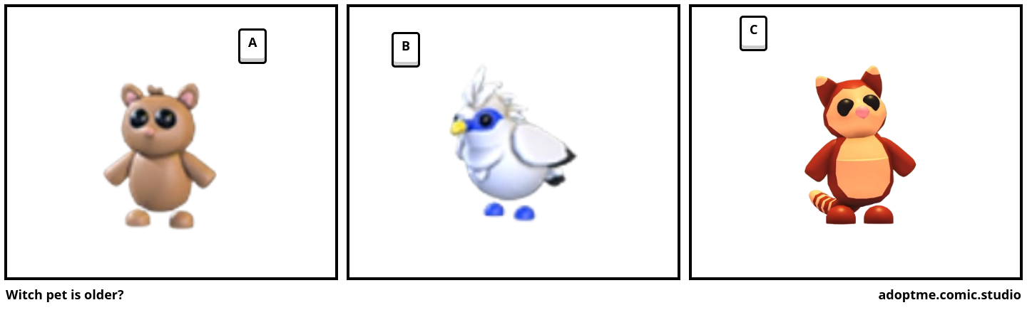 Witch pet is older?