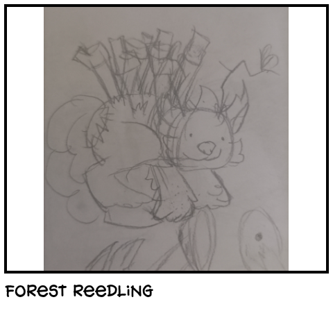 Forest reedling