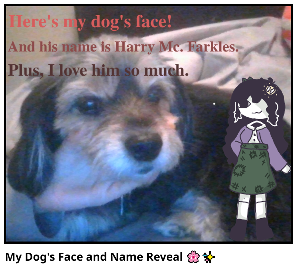 My Dog's Face and Name Reveal 🌸✨