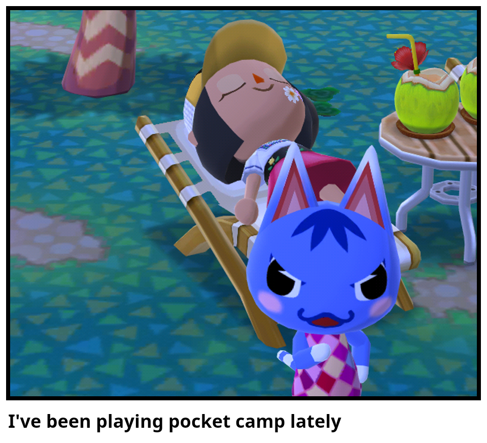 I've been playing pocket camp lately