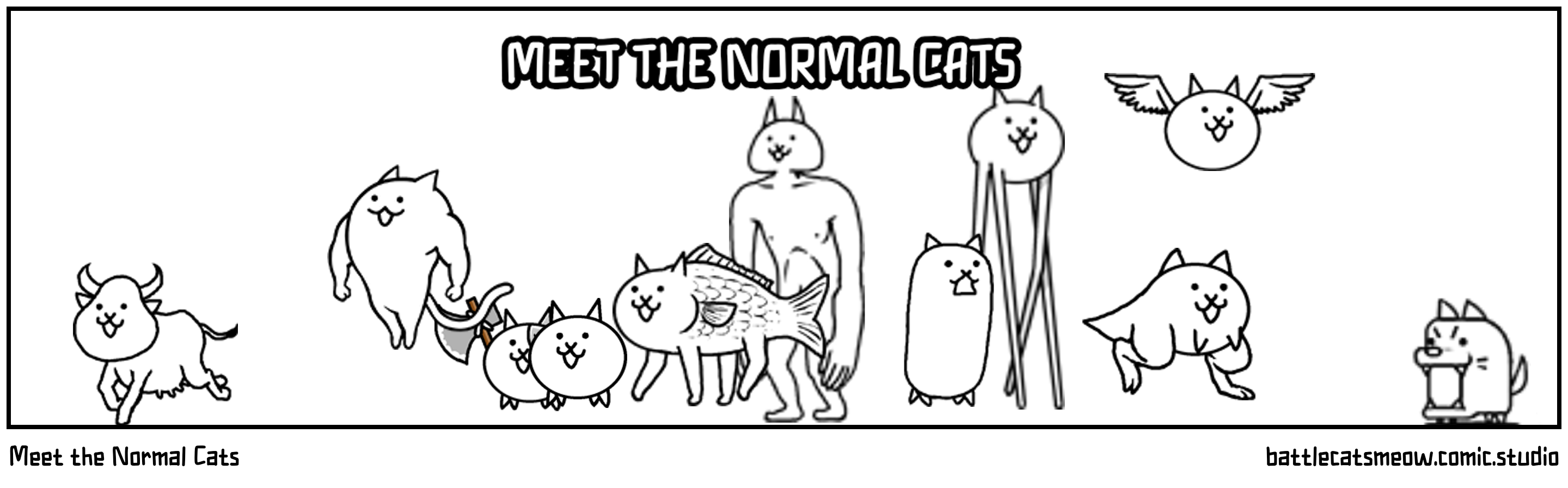 Meet the Normal Cats