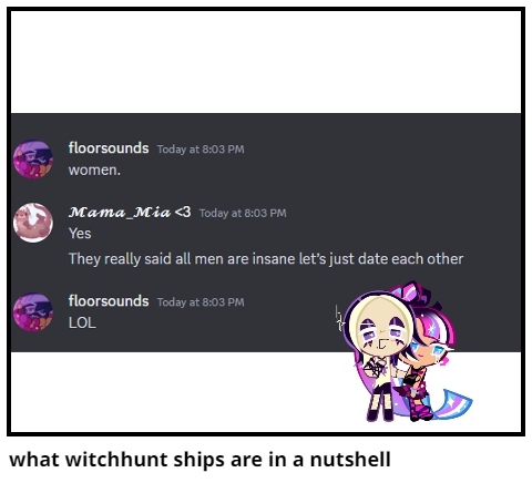 what witchhunt ships are in a nutshell