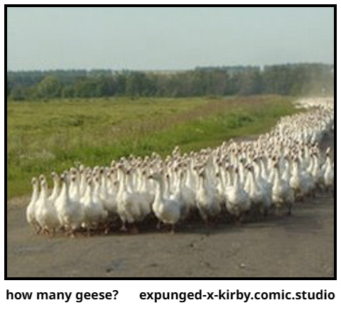 how many geese?