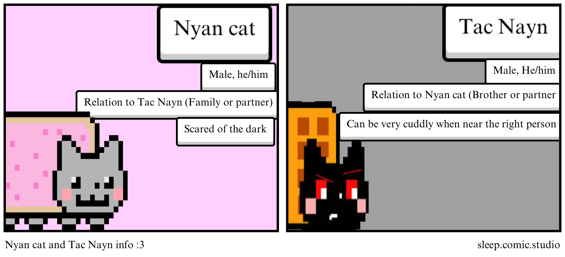 Nyan cat and Tac Nayn info :3