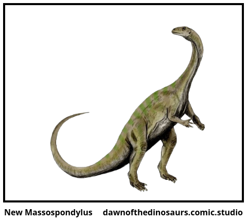 New Massospondylus