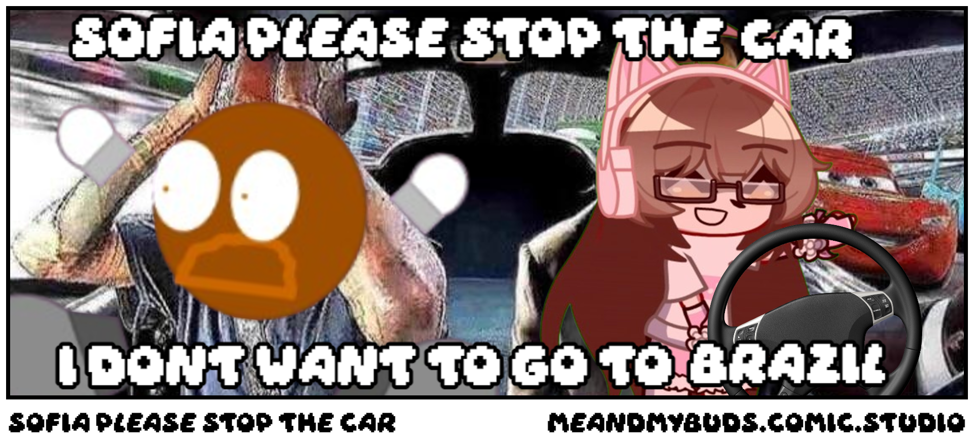 SOFIA PLEASE STOP THE CAR