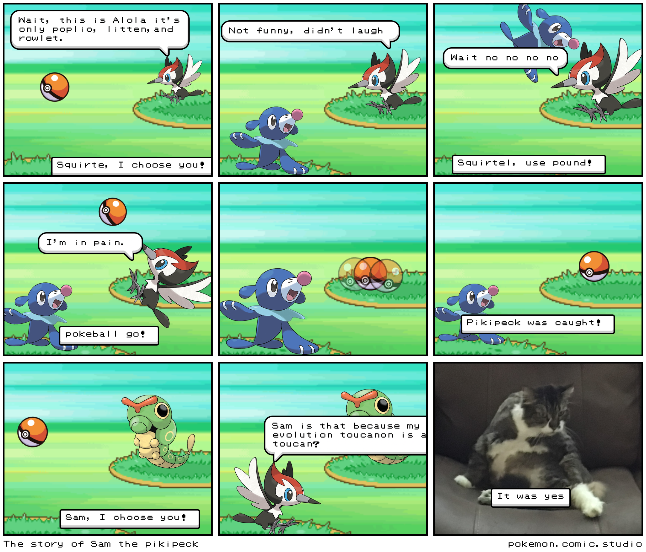The story of Sam the pikipeck