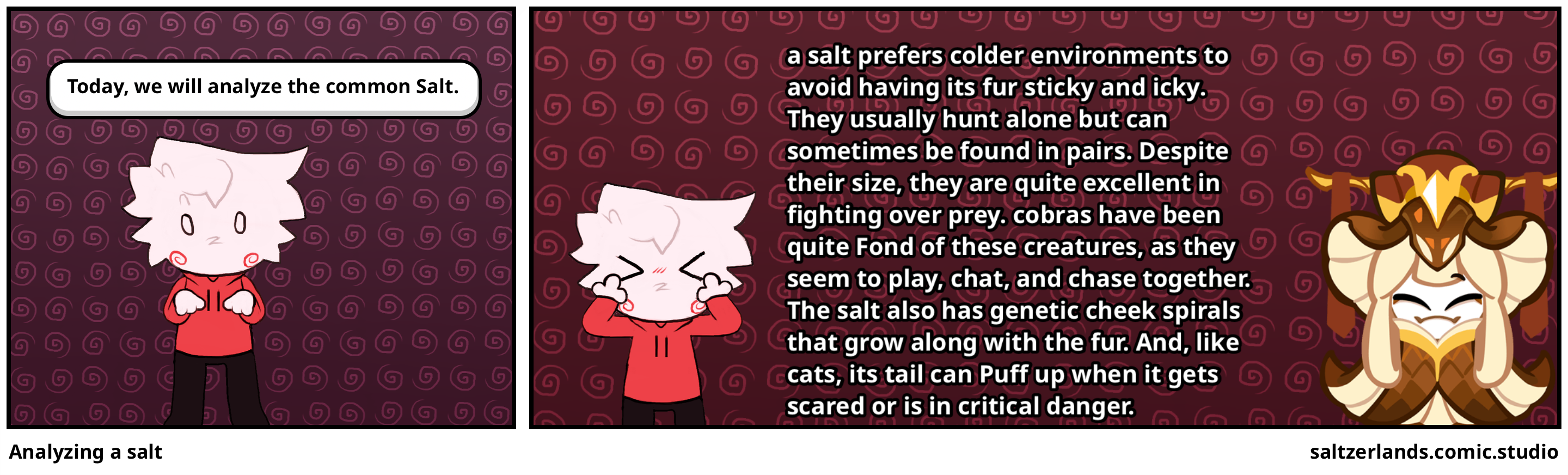 Analyzing a salt