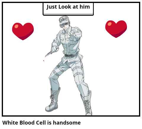 White Blood Cell is handsome