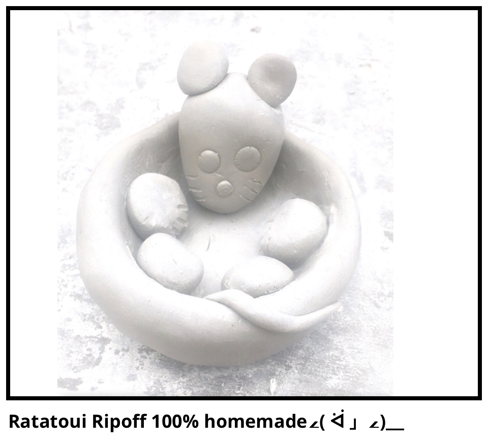 Ratatoui Ripoff 100% homemade∠( ᐛ 」∠)＿