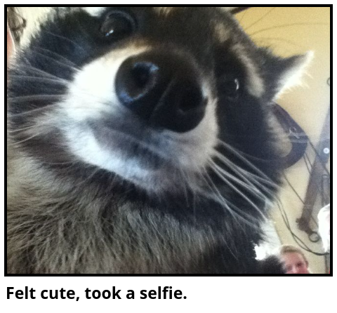 Felt cute, took a selfie.