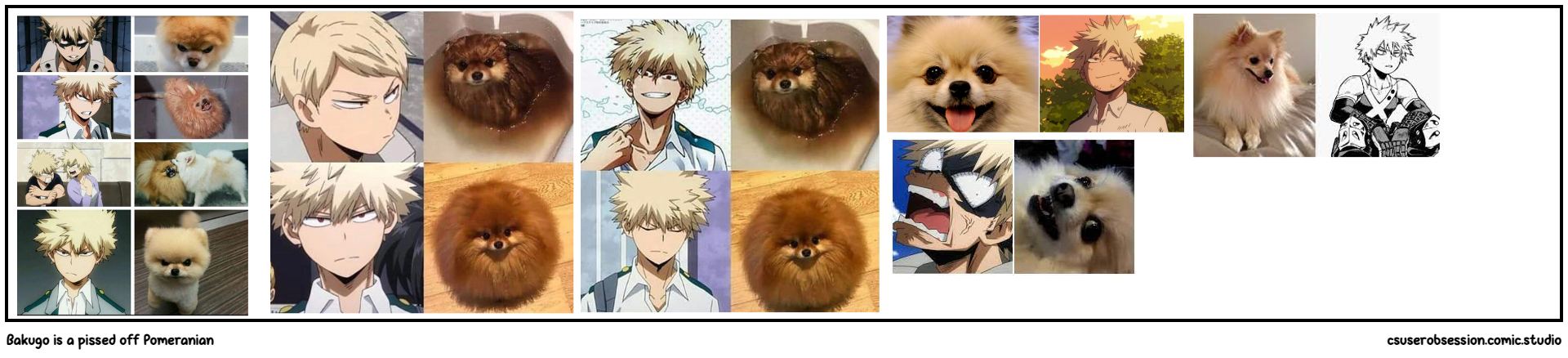 Bakugo is a pissed off Pomeranian