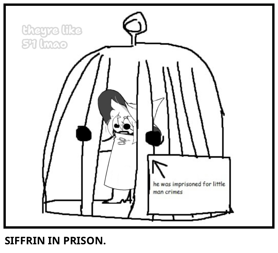 SIFFRIN IN PRISON.