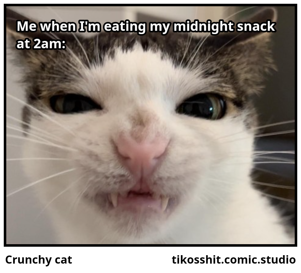 Crunchy cat