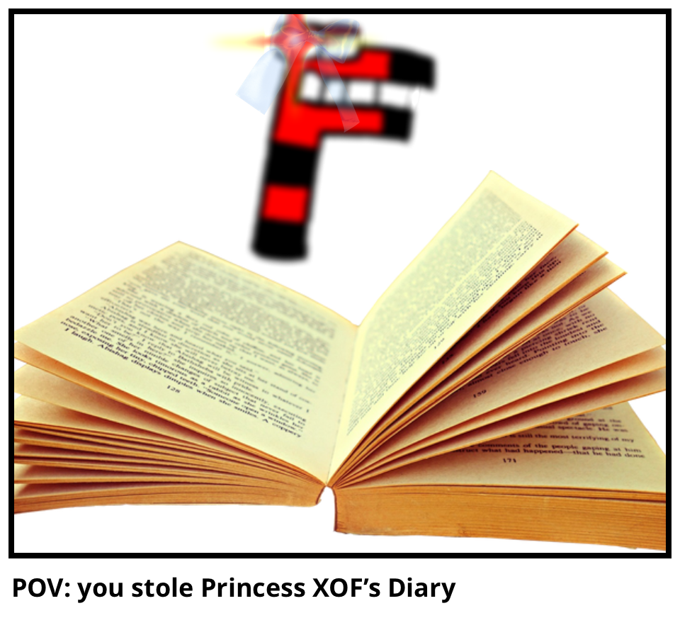 POV: you stole Princess XOF’s Diary