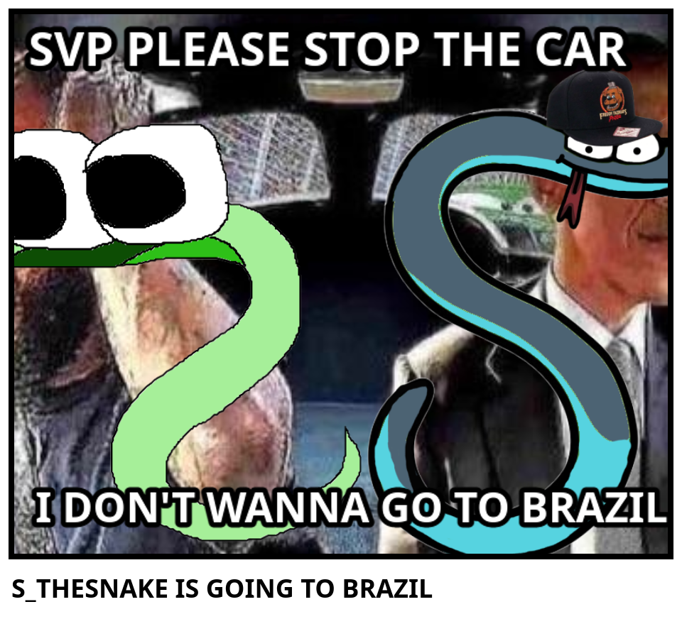 S_THESNAKE IS GOING TO BRAZIL