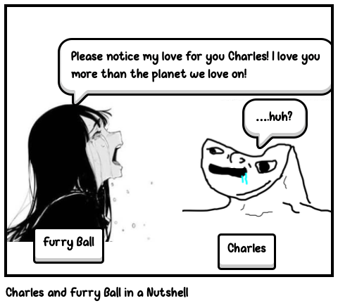 Charles and Furry Ball in a Nutshell