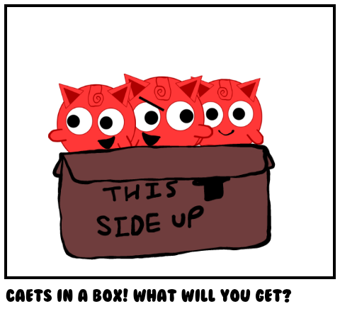 CAETs in a box! What will you get?