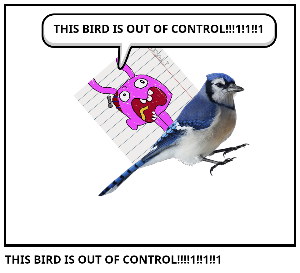 THIS BIRD IS OUT OF CONTROL!!!!1!!1!!1