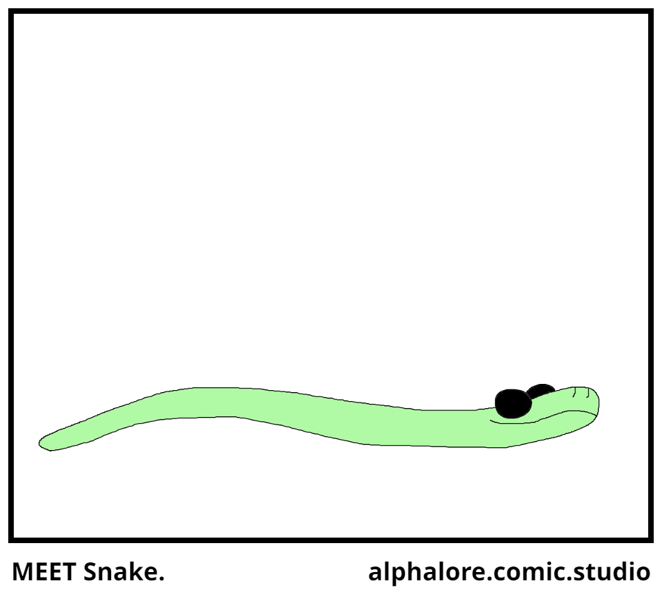MEET Snake.