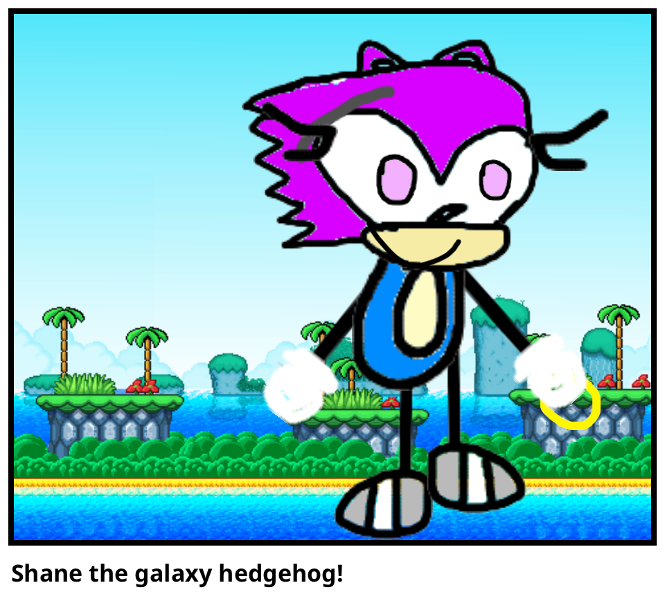 Shane the galaxy hedgehog!