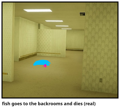 fish goes to the backrooms and dies (real)