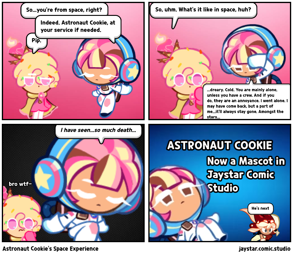 Astronaut Cookie's Space Experience